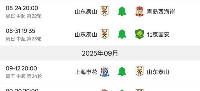 足球春晚, 轮为执法泰