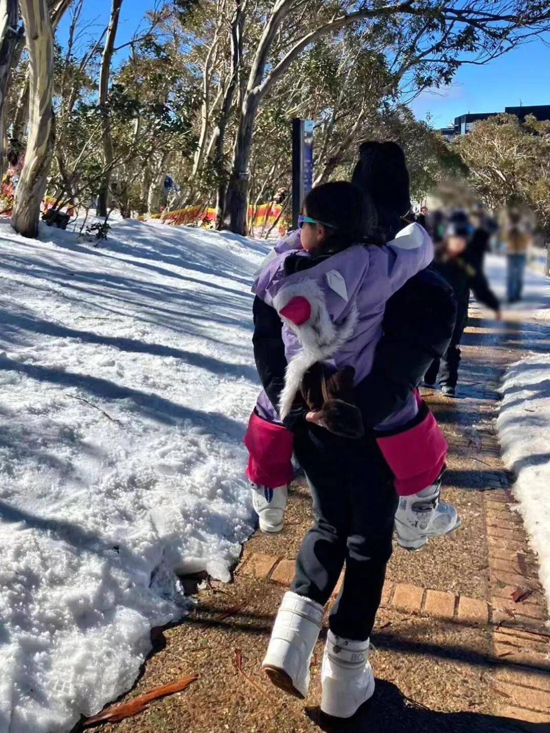 犬名来源于, cce